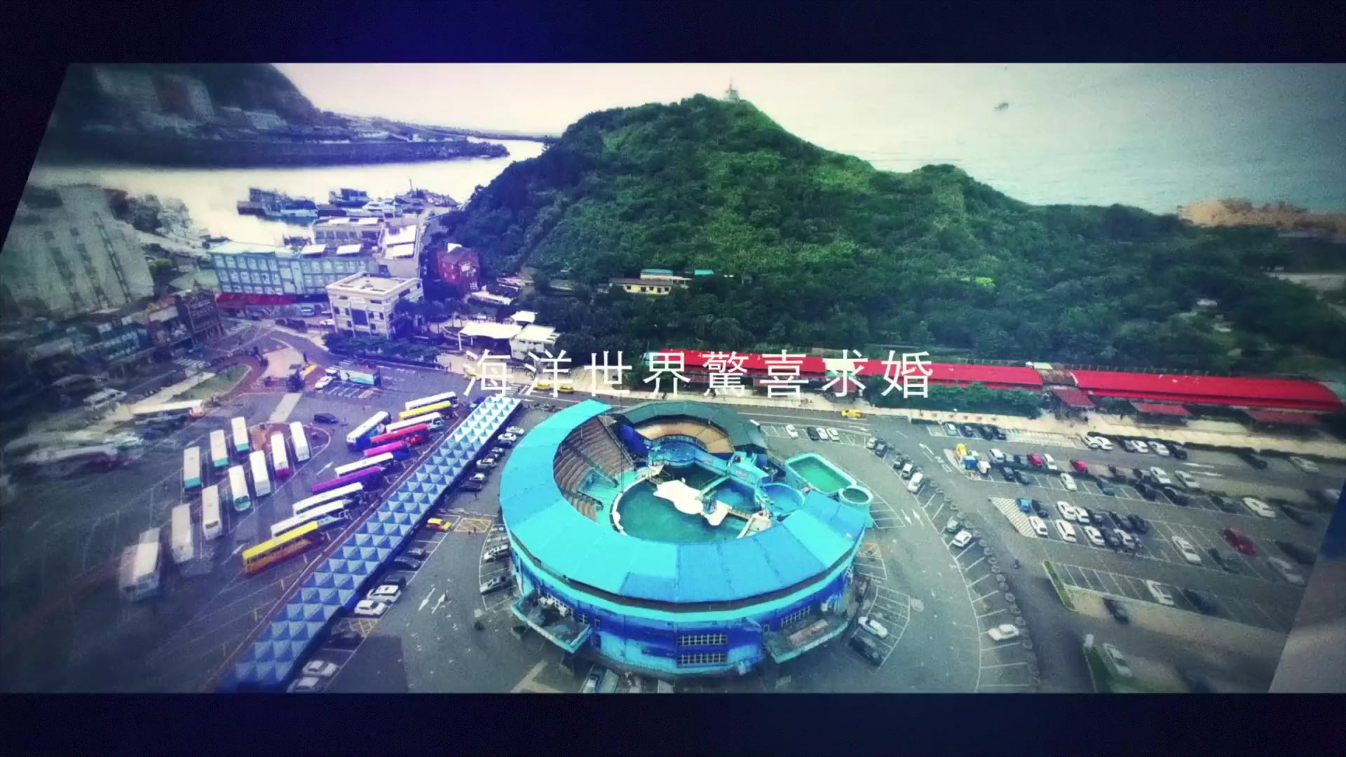 下半世，全心全意